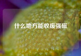 什么地方能收廢強(qiáng)磁