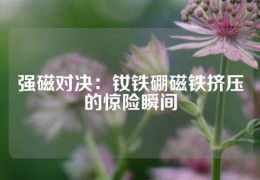 強(qiáng)磁對決：釹鐵硼磁鐵擠壓的驚險(xiǎn)瞬間