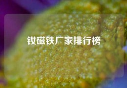 釹磁鐵廠家排行榜