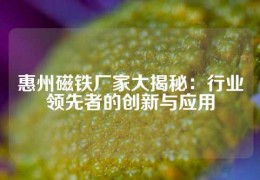 惠州磁鐵廠家大揭秘：行業領先者的創新與應用