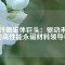 釹鐵硼磁體巨頭：驅(qū)動(dòng)未來的高性能永磁材料領(lǐng)導(dǎo)者