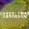 稀土永磁巨頭：引領(lǐng)未來科技變革的隱形冠軍