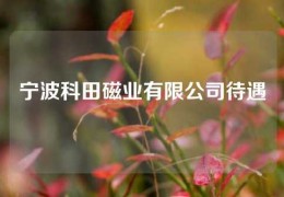 寧波科田磁業有限公司待遇