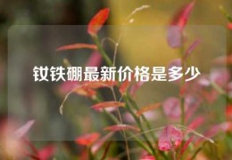 釹鐵硼最新價格是多少