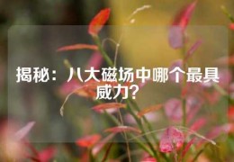 揭秘：八大磁場(chǎng)中哪個(gè)最具威力？
