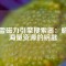 迅雷磁力引擎搜索器：解鎖海量資源的鑰匙