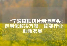 “寧波磁鐵切片制造巨頭：定制化解決方案，賦能行業(yè)創(chuàng)新發(fā)展”