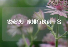 釹磁鐵廠家排行榜前十名