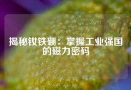 揭秘釹鐵硼：掌握工業(yè)強國的磁力密碼