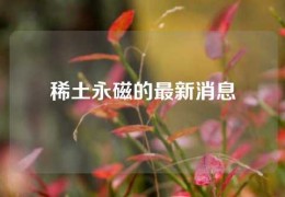 稀土永磁的最新消息