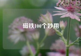 磁鐵100個妙用