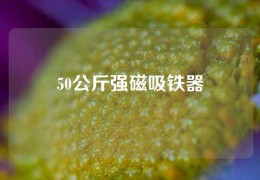 50公斤強(qiáng)磁吸鐵器