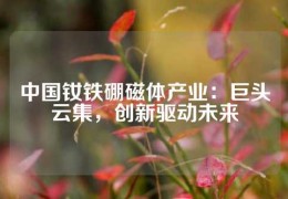 中國釹鐵硼磁體產業：巨頭云集，創新驅動未來