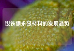 釹鐵硼永磁材料的發(fā)展趨勢(shì)