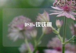 DSHw釹鐵硼