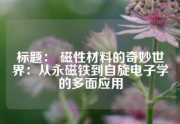 標題： 磁性材料的奇妙世界：從永磁鐵到自旋電子學的多面應用