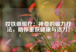 釹鐵硼磁療：神奇的磁力療法，助你重獲健康與活力！