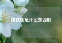 釹鐵硼是什么東西啊