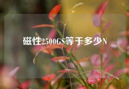 磁性2500GS等于多少N