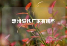 惠州磁鐵廠家有哪些