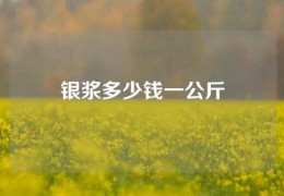 銀漿多少錢一公斤