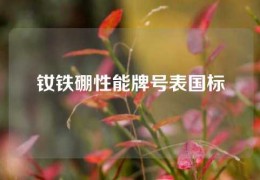 釹鐵硼性能牌號(hào)表國標(biāo)