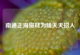 南通正海磁材為啥天天招人