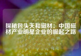 探秘包頭天和磁材：中國(guó)磁材產(chǎn)業(yè)明星企業(yè)的崛起之路