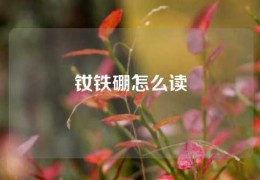 釹鐵硼怎么讀