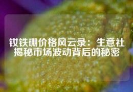 釹鐵硼價格風云錄：生意社揭秘市場波動背后的秘密