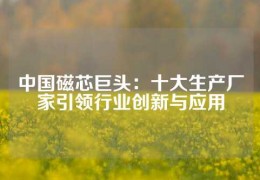 中國磁芯巨頭：十大生產廠家引領行業創新與應用