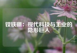 釹鐵硼：現代科技與工業的隱形巨人