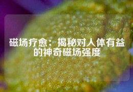 磁場療愈：揭秘對人體有益的神奇磁場強度