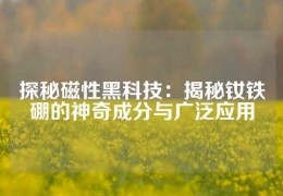 探秘磁性黑科技：揭秘釹鐵硼的神奇成分與廣泛應(yīng)用