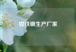 釹鐵硼生產(chǎn)廠家