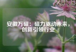 安徽萬磁：磁力驅(qū)動未來，創(chuàng)新引領(lǐng)行業(yè)