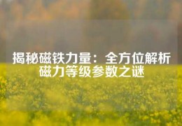 揭秘磁鐵力量：全方位解析磁力等級(jí)參數(shù)之謎