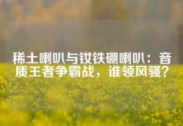 稀土喇叭與釹鐵硼喇叭：音質王者爭霸戰，誰領風騷？