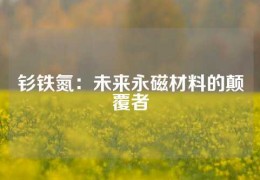 釤鐵氮：未來永磁材料的顛覆者