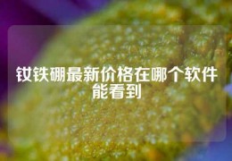 釹鐵硼最新價格在哪個軟件能看到