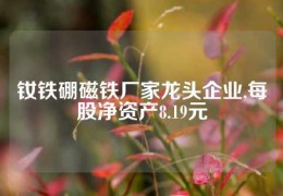 釹鐵硼磁鐵廠家龍頭企業,每股凈資產8.19元