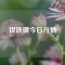 釹鐵硼今日行情