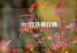 2023釹鐵硼行情