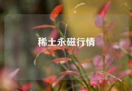 稀土永磁行情