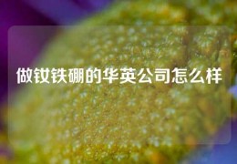 做釹鐵硼的華英公司怎么樣