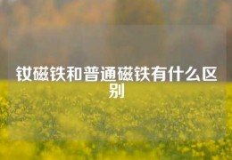 釹磁鐵和普通磁鐵有什么區(qū)別