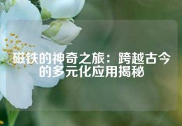 磁鐵的神奇之旅：跨越古今的多元化應用揭秘