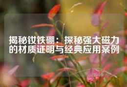 揭秘釹鐵硼：探秘強大磁力的材質證明與經典應用案例