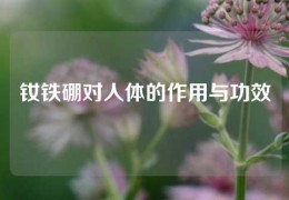 釹鐵硼對人體的作用與功效