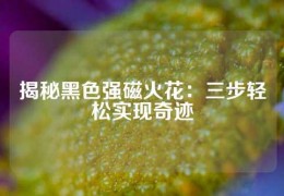 揭秘黑色強(qiáng)磁火花：三步輕松實(shí)現(xiàn)奇跡